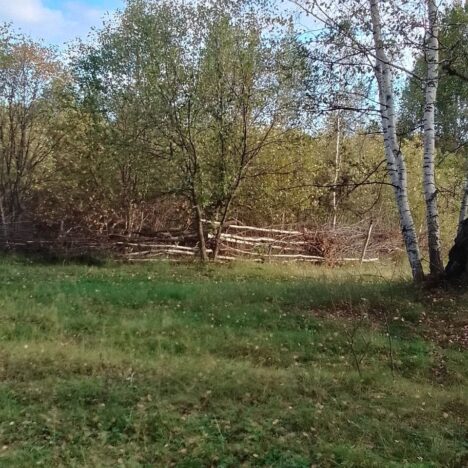 Восторг и Озарение: Мое Путешествие по Музею Искусств